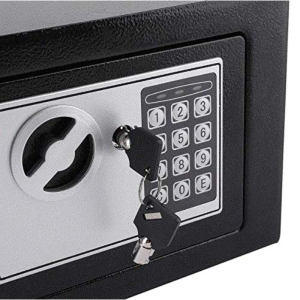 Electronic Safes - GS 170 D